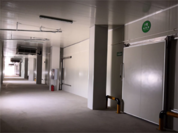 建造200噸的肉類冷鏈冷凍庫如何做好規(guī)劃設(shè)計(jì)？