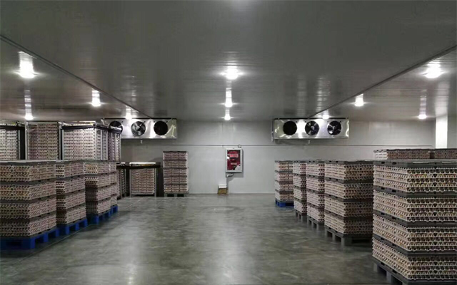 1000噸0-5℃蘋果冷藏庫多少錢，2-4℃冷藏庫建設