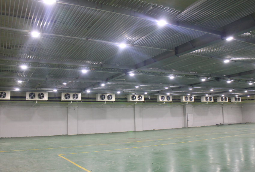 500噸冷凍肉冷庫(kù)建造，-18℃低溫肉類冷凍庫(kù)安裝造價(jià)