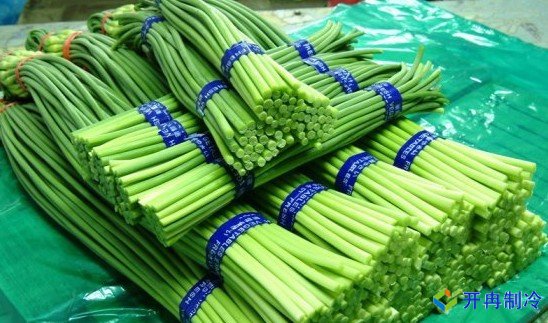 3000噸蒜薹冷庫前期規劃，冷庫造價預算多少錢