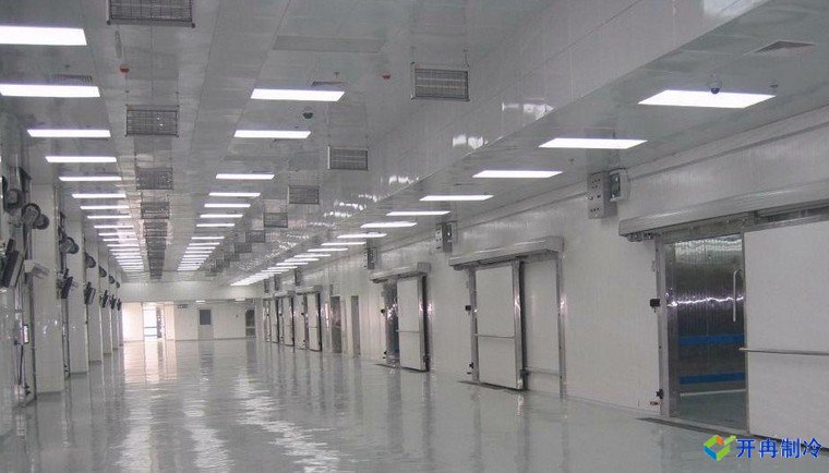 50000噸豬肉冷庫(kù)，冷庫(kù)總投資需要多少錢